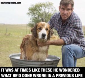 it was at times like this he wondered what he'd done wrong in a previous life